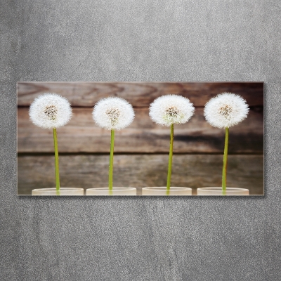 Wall art on glass Dandelions