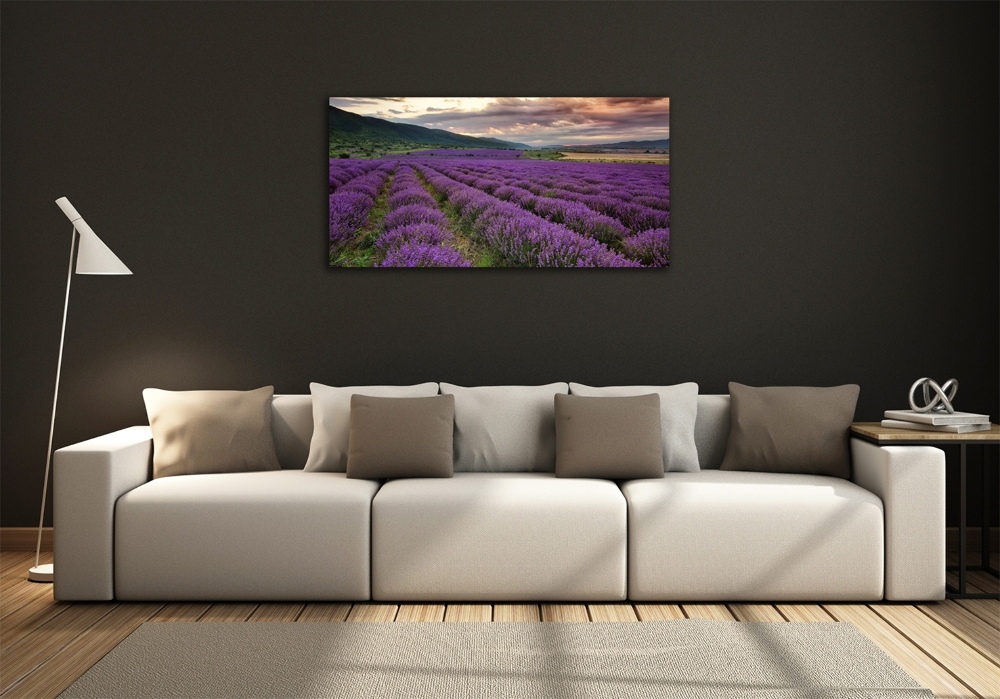 Glass art print Lavender field