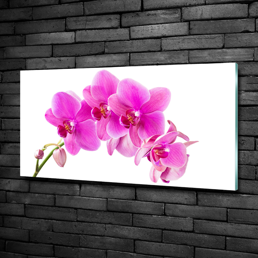 Glass art print Pink orchid