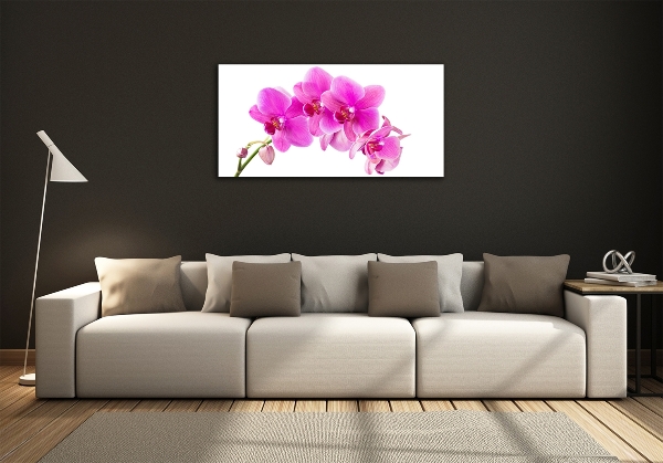 Glass art print Pink orchid