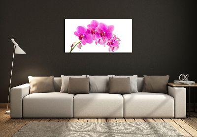 Glass art print Pink orchid