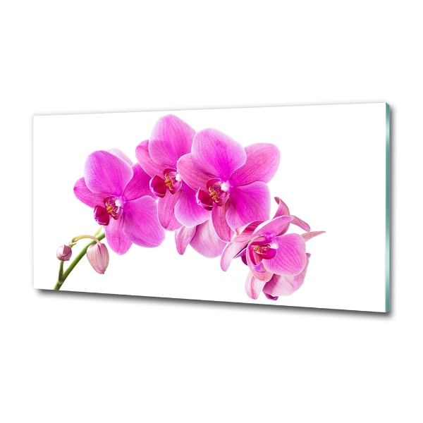 Glass art print Pink orchid