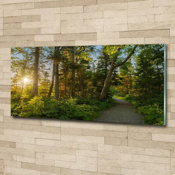 Wall art on glass Forest