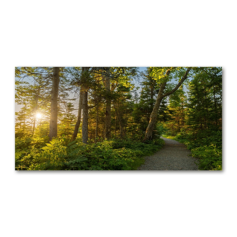 Wall art on glass Forest