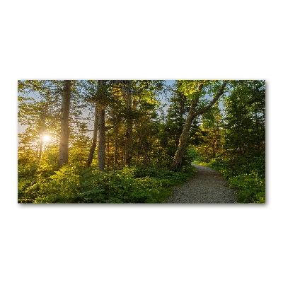 Wall art on glass Forest