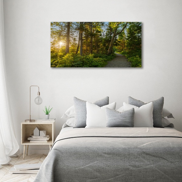 Wall art on glass Forest