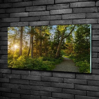 Wall art on glass Forest