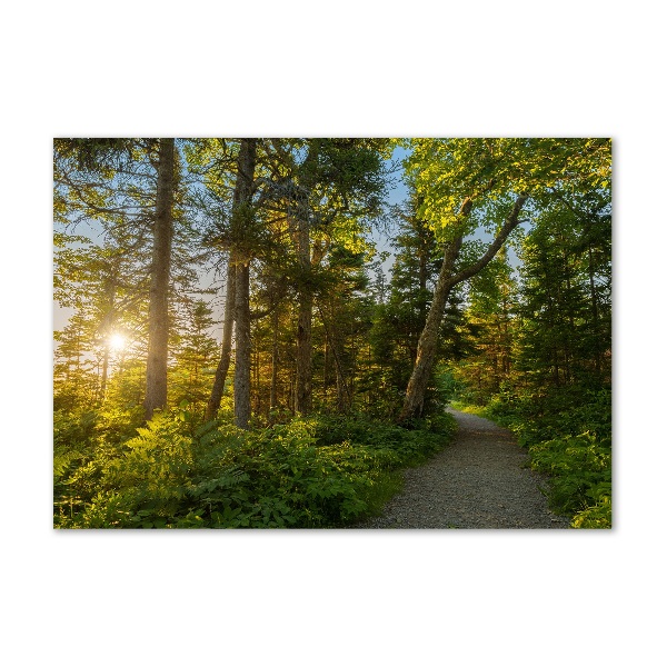 Wall art on glass Forest