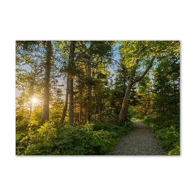 Wall art on glass Forest