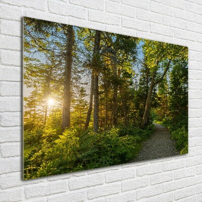 Wall art on glass Forest