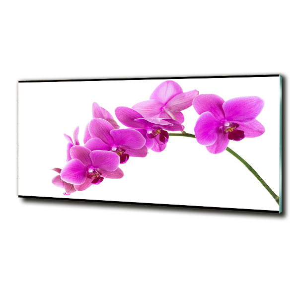 Wall art on glass Pink orchid