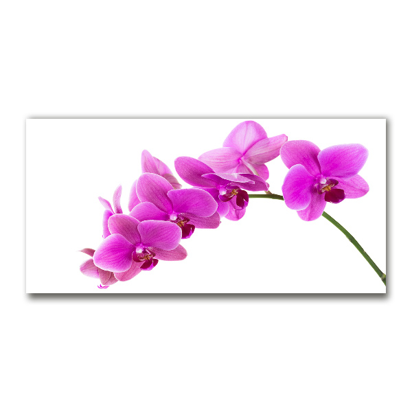 Wall art on glass Pink orchid