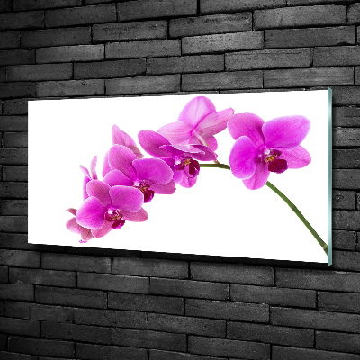 Wall art on glass Pink orchid