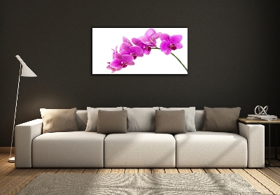 Wall art on glass Pink orchid