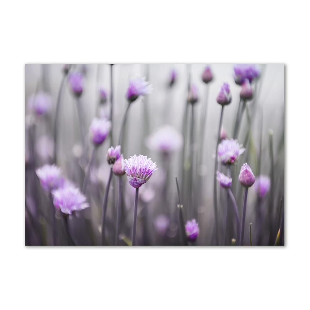 Glass wall art Chives flowers