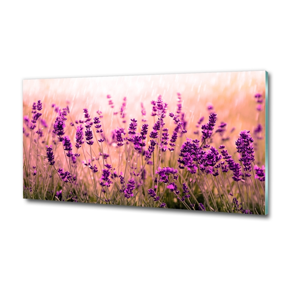 Glass wall art Lavender