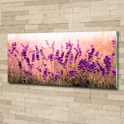 Glass wall art Lavender