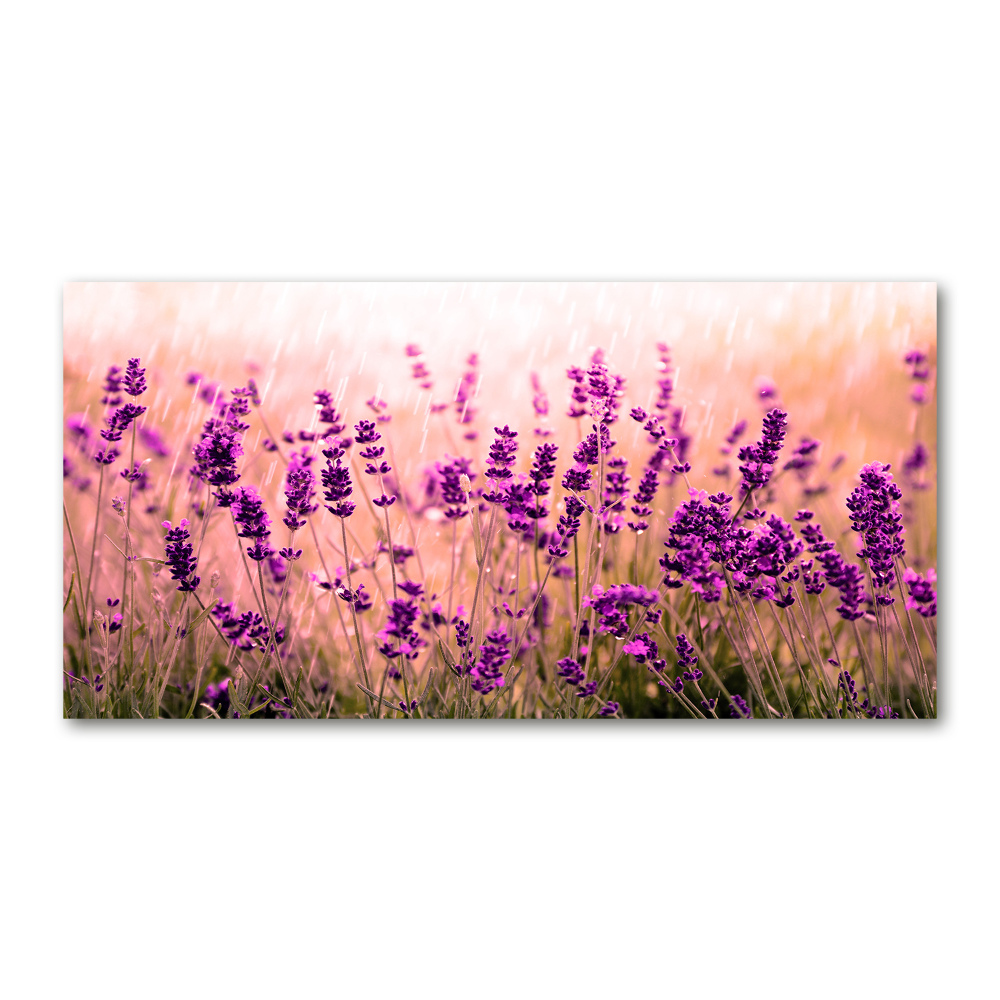 Glass wall art Lavender