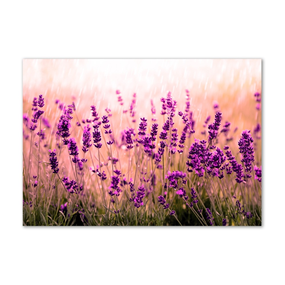 Glass wall art Lavender