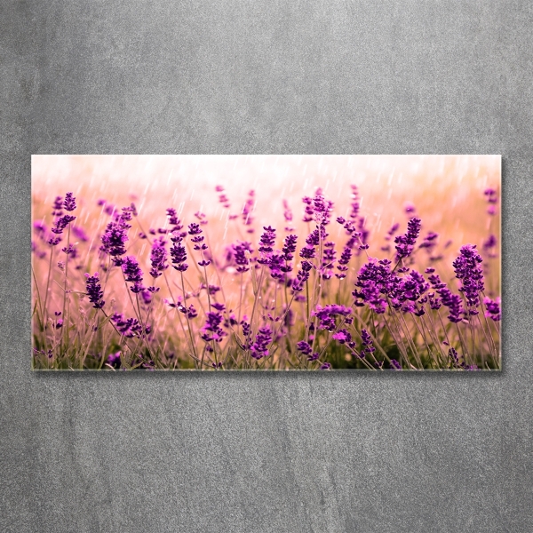 Glass wall art Lavender