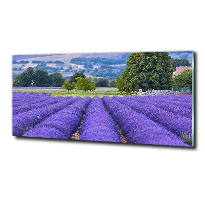 Glass art picture Lavender field