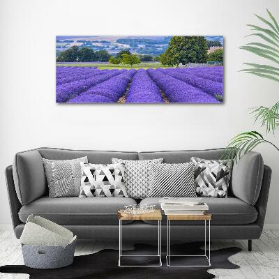 Glass art picture Lavender field