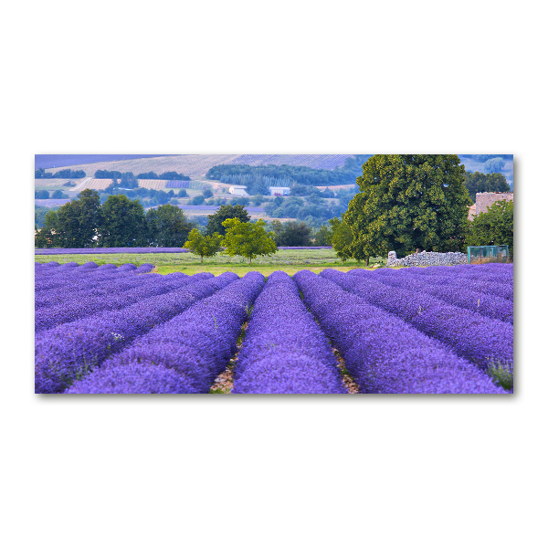 Glass art picture Lavender field