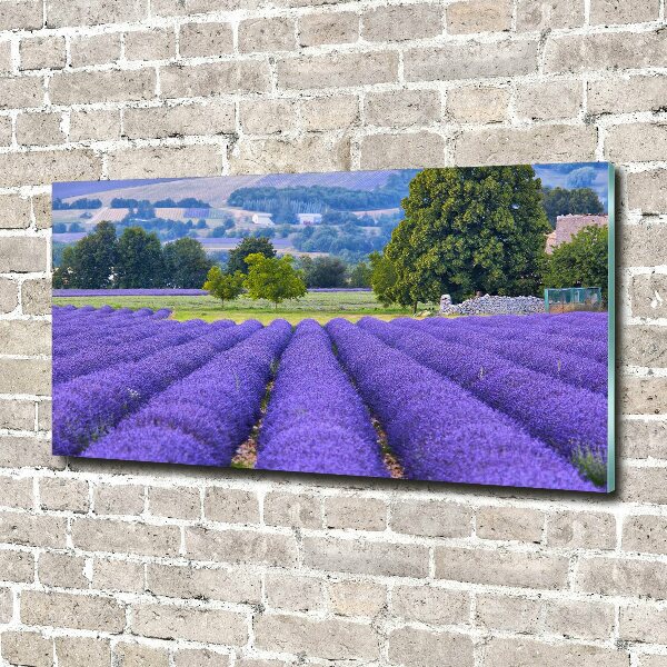 Glass art picture Lavender field