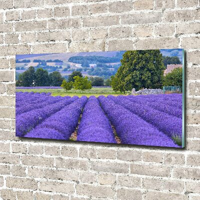 Glass art picture Lavender field