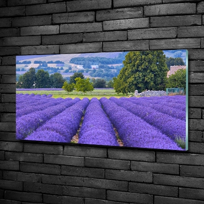 Glass art picture Lavender field