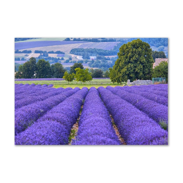 Glass art picture Lavender field