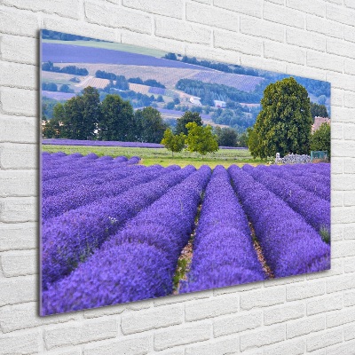 Glass art picture Lavender field