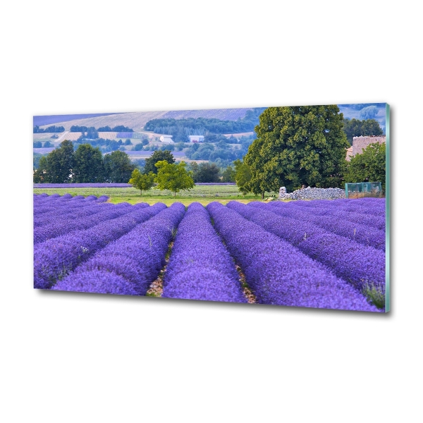 Glass art picture Lavender field