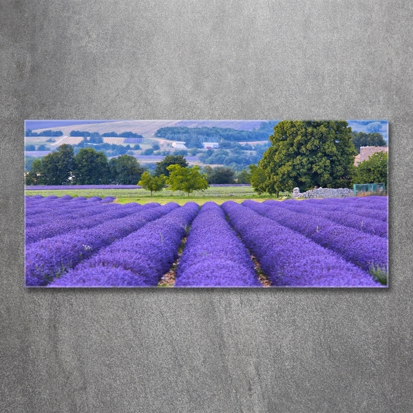 Glass art picture Lavender field