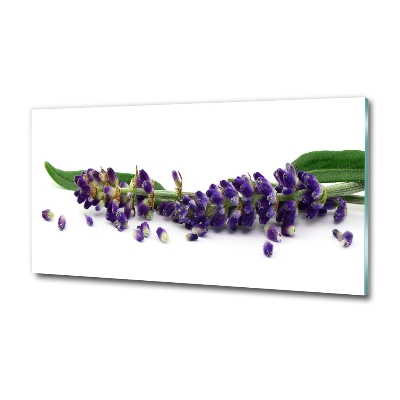 Wall art on glass Lavender