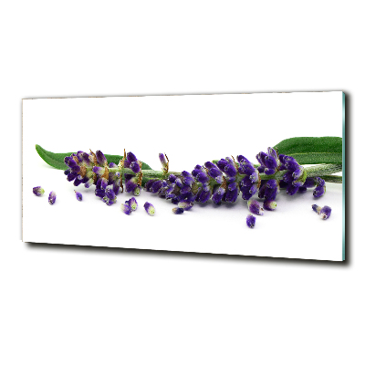 Wall art on glass Lavender