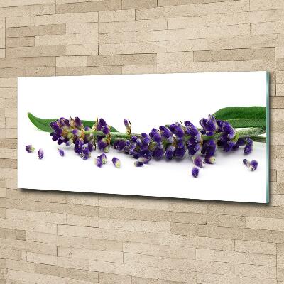 Wall art on glass Lavender