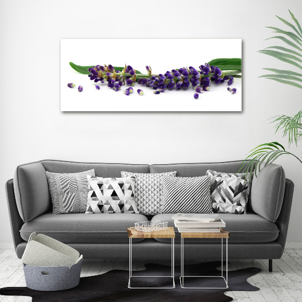 Wall art on glass Lavender