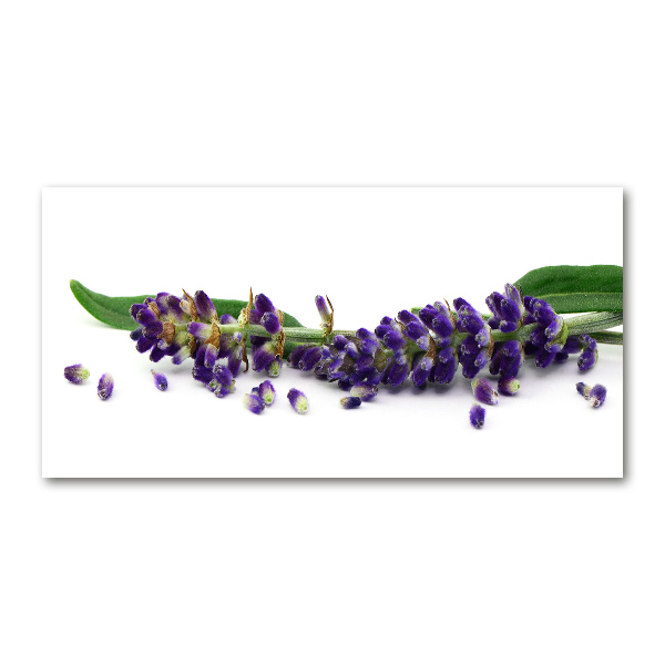 Wall art on glass Lavender