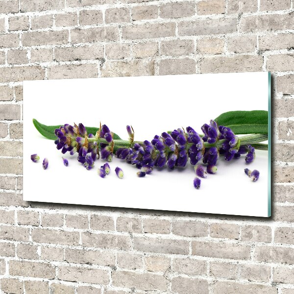 Wall art on glass Lavender