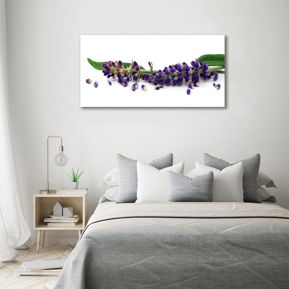 Wall art on glass Lavender