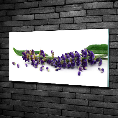 Wall art on glass Lavender