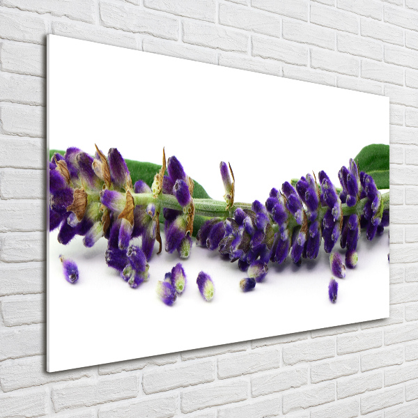 Wall art on glass Lavender