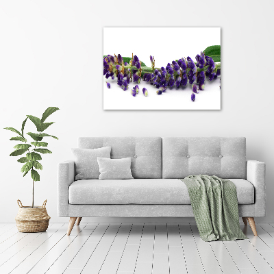 Wall art on glass Lavender