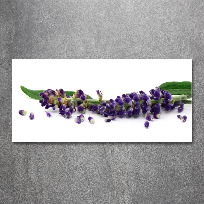 Wall art on glass Lavender