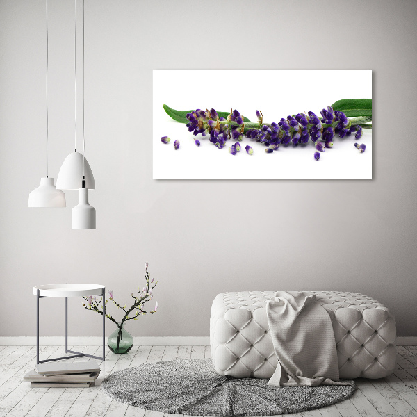 Wall art on glass Lavender