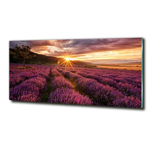 Glass art picture Lavender field