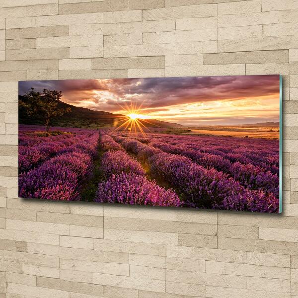 Glass art picture Lavender field