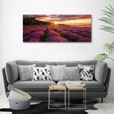 Glass art picture Lavender field