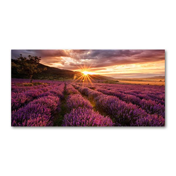 Glass art picture Lavender field